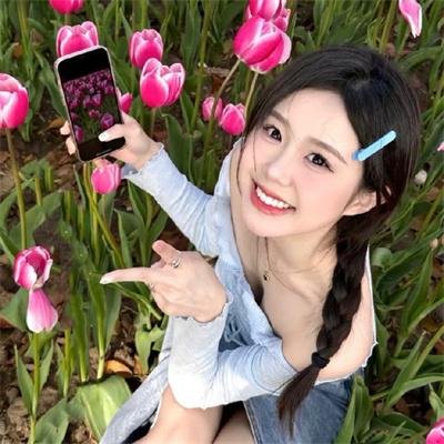 追赶太阳